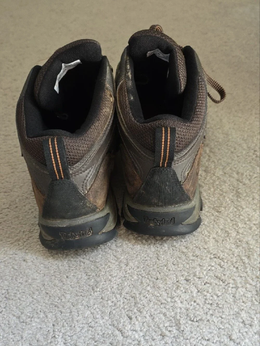 Timberland sturdy leather